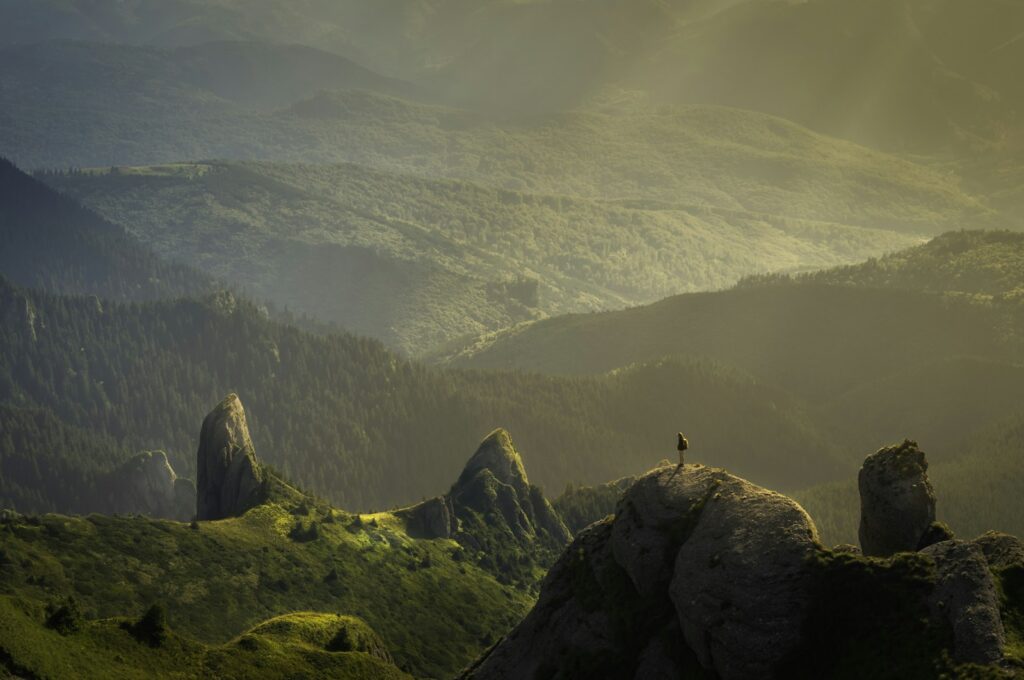 Artvin Orman Şelalesi